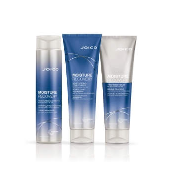 Joico Moisture Recovery hair care products on a white background