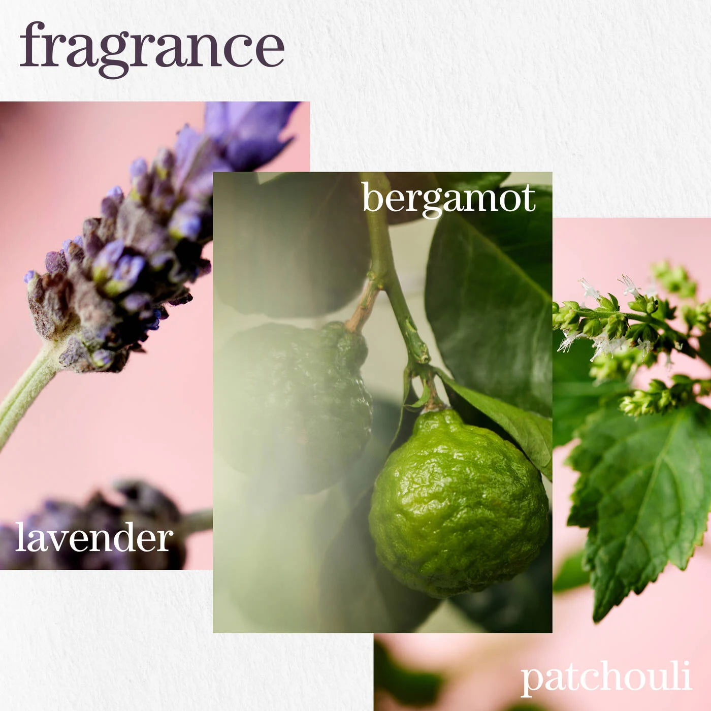 Three fragrances represented by lavender, bergamot, and patchouli with corresponding images.