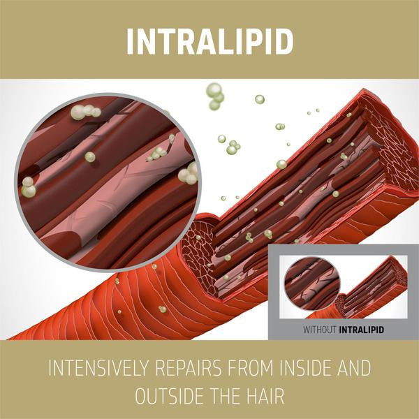 Illustration of a blood vessel with Intralipid and text about hair structure regeneration.