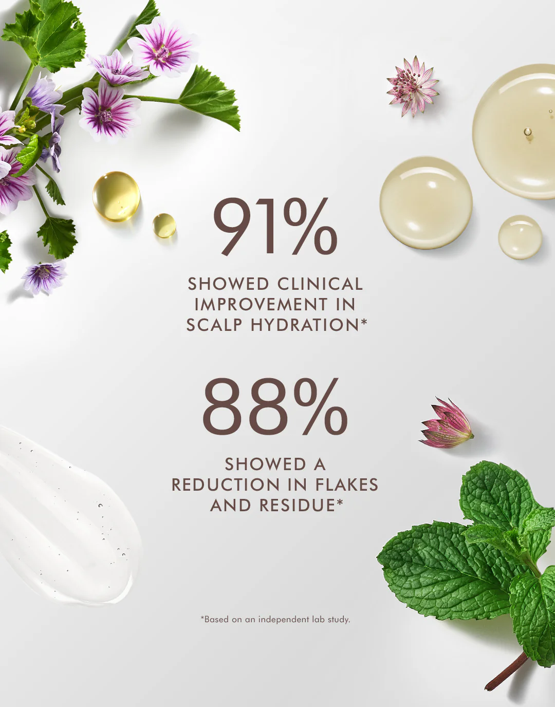 Cosmetic product with botanical elements and clinical improvement statistics on a light background