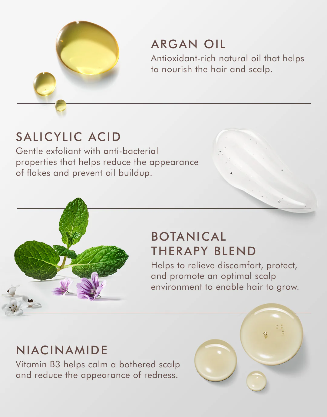 Product ingredients with labels on a light gray background