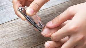 Stainless Steel Small Curved Clipper