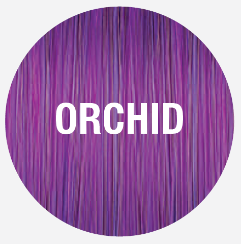 Joico Color Intensity Orchid
