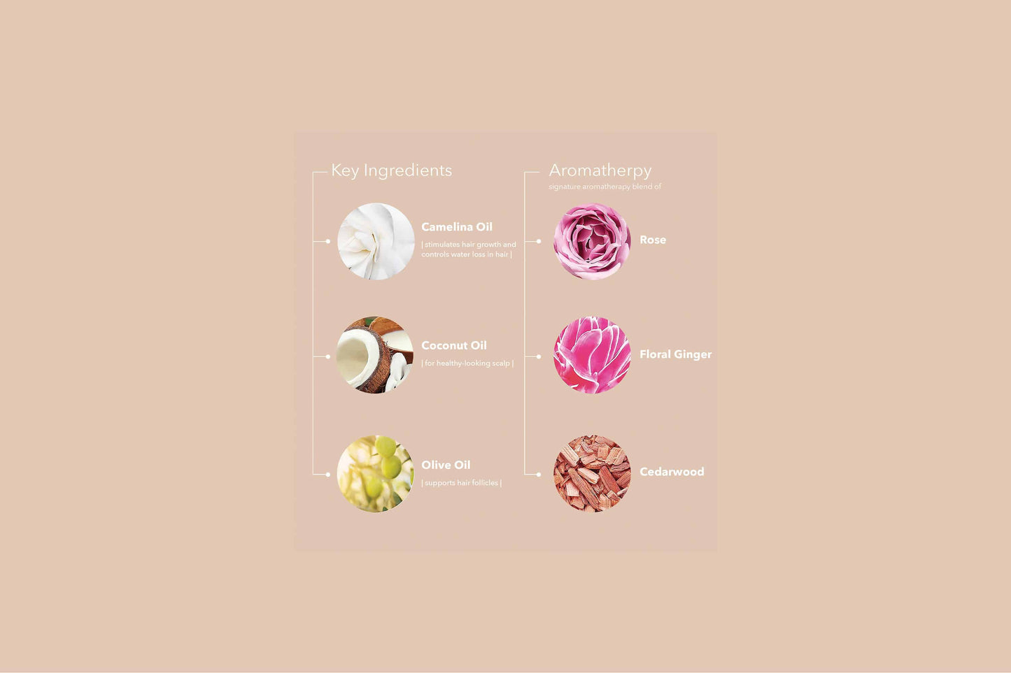 Pureology Color Fanatic Multi-Tasking Treatment Key Ingredients