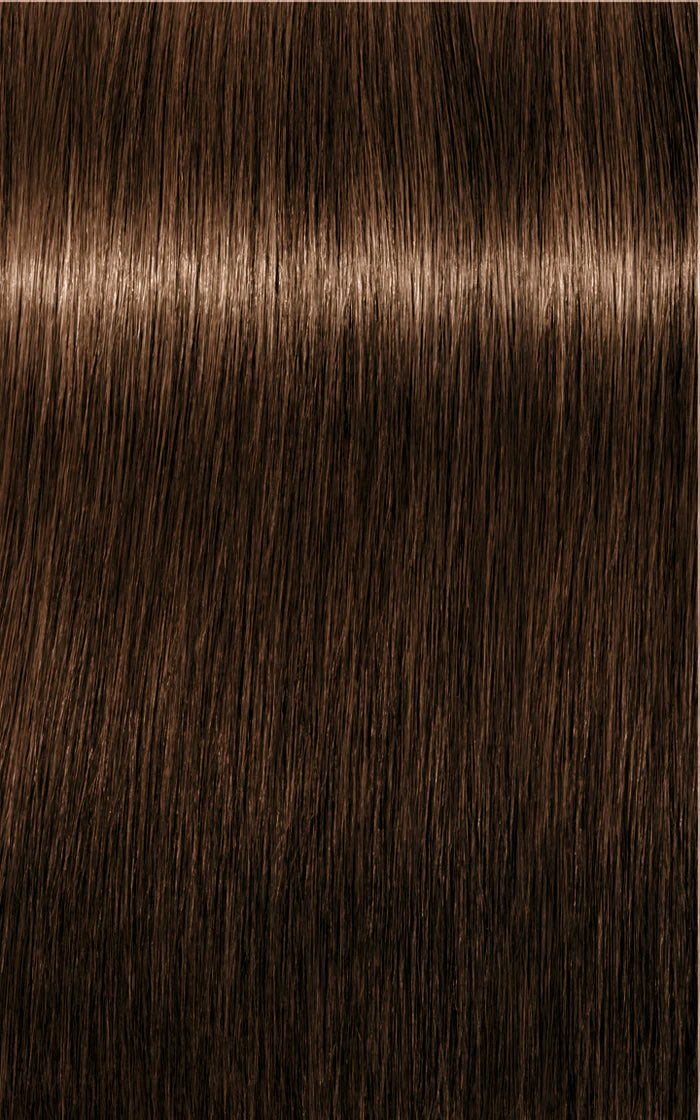 Igora Absolutes 5-50