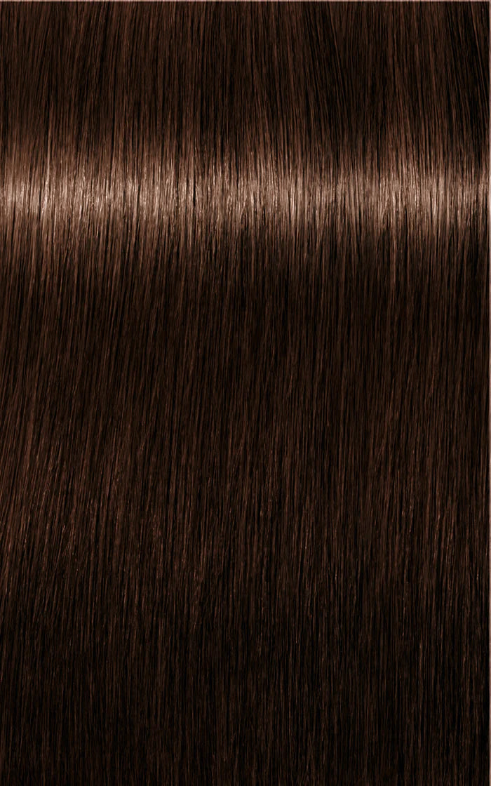 Igora Absolutes 5-60