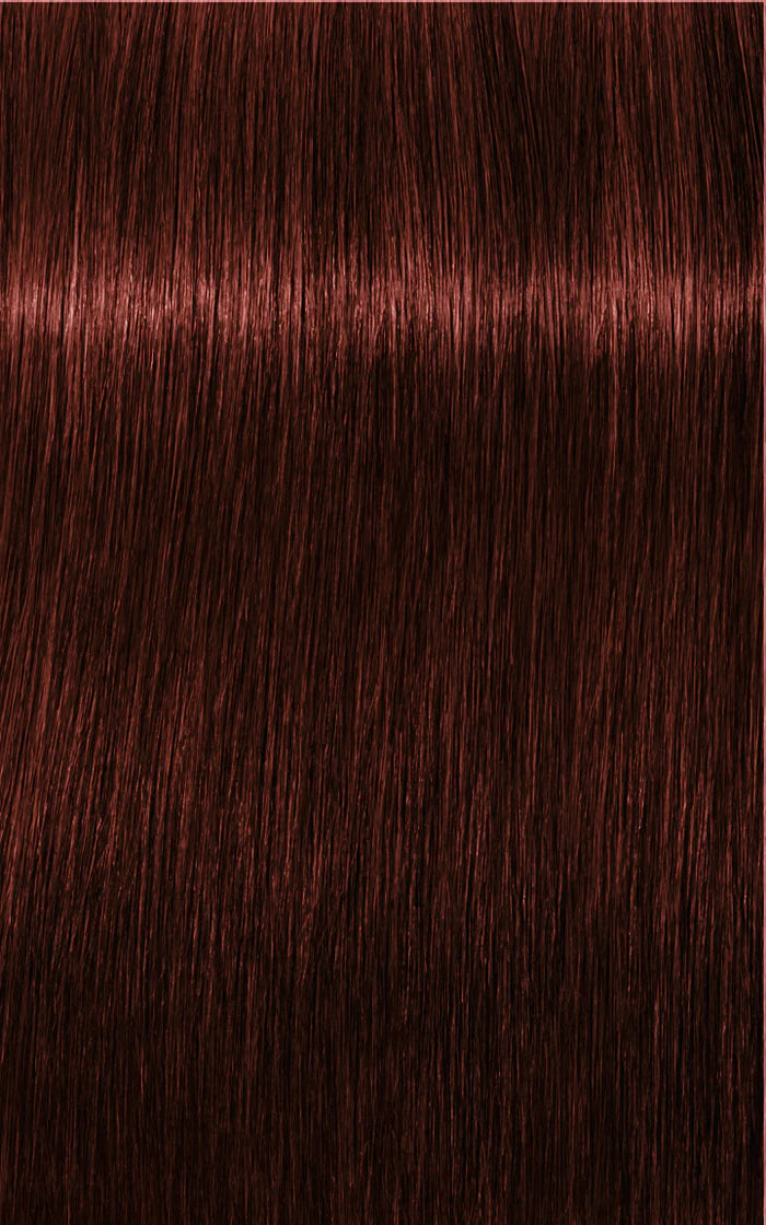 Igora Absolutes 5-80