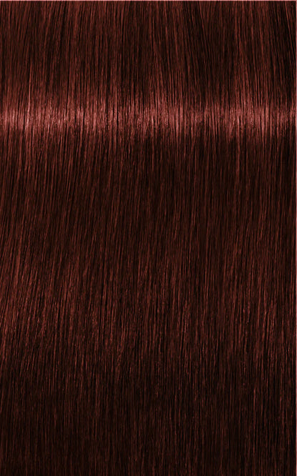 Igora Absolutes 5-80