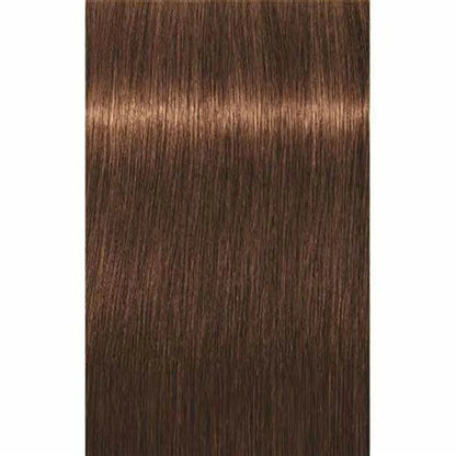 Igora Absolutes 6-460