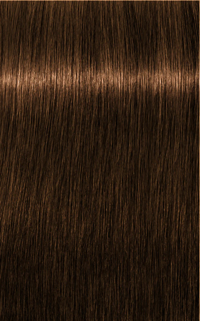 Igora Absolutes 6-50