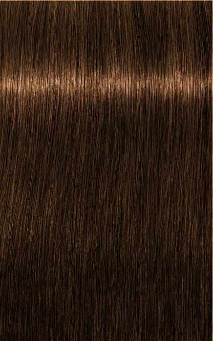 Igora Absolutes 6-50