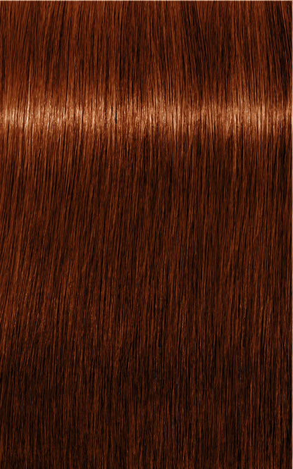 Igora Absolutes 6-70