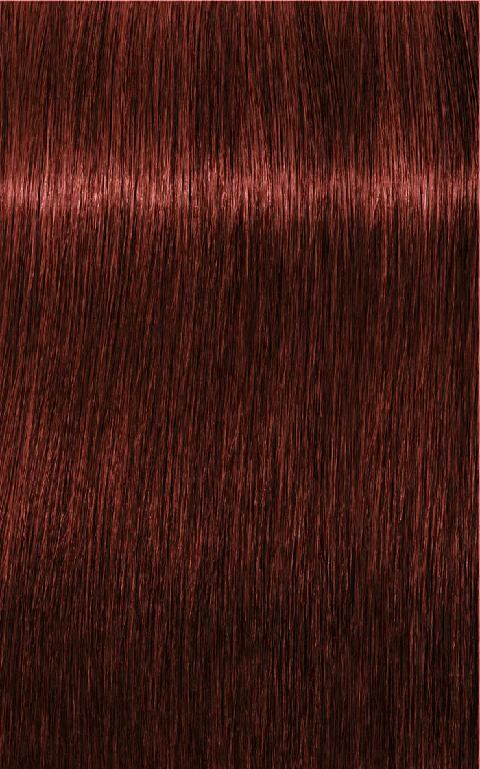 Igora Absolutes 6-80