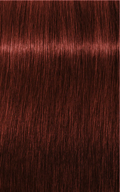 Igora Absolutes 6-80