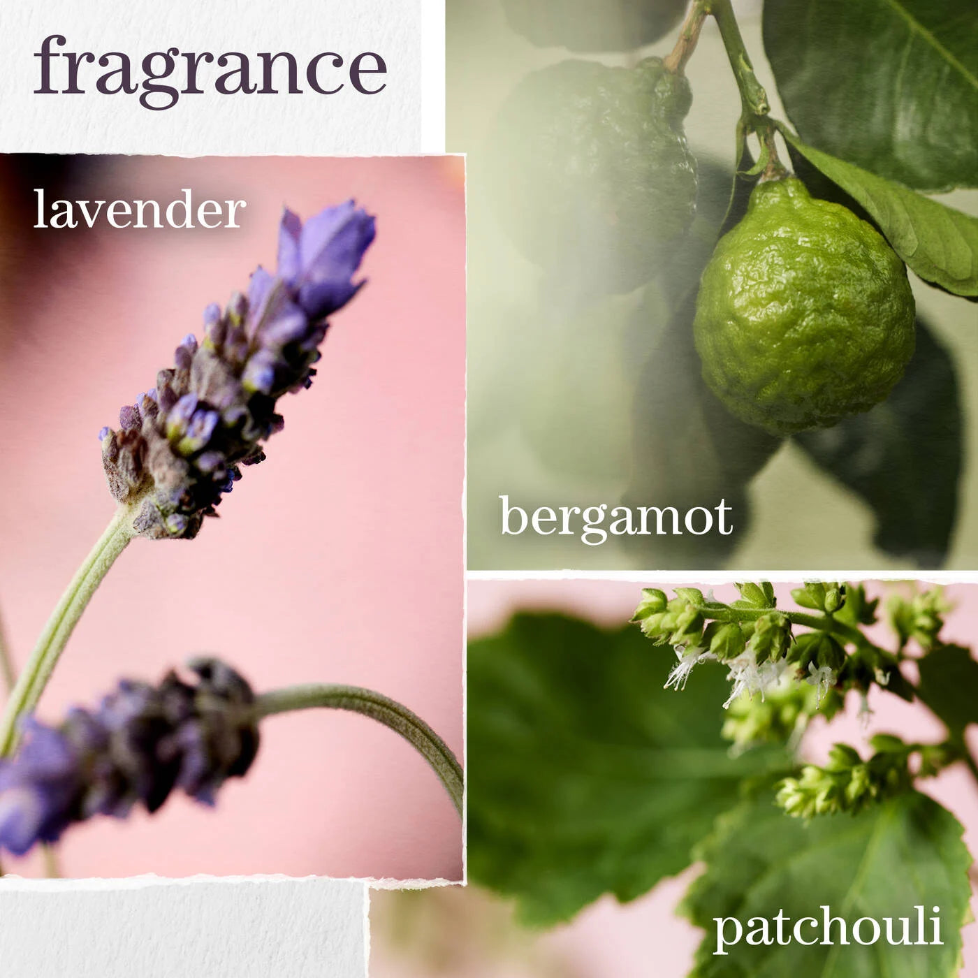 Pureology fragrance hydrate collection