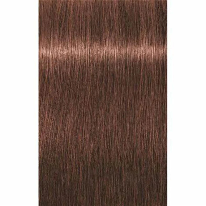 Igora Absolutes 7-460