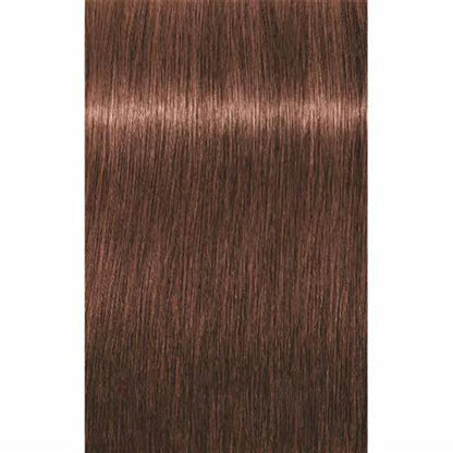 Igora Absolutes 7-460