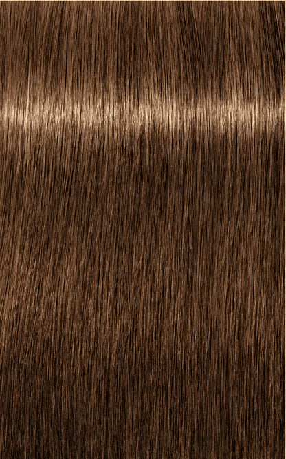 Igora Absolutes 7-50