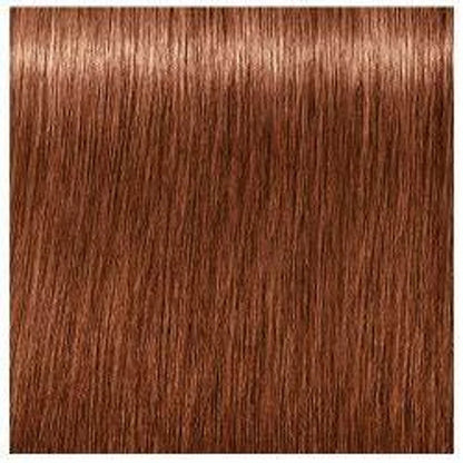 Igora Absolutes 7-560