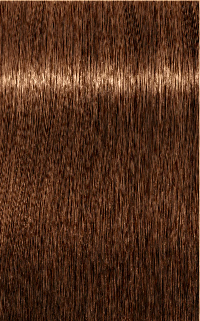 Igora Absolutes 7-60