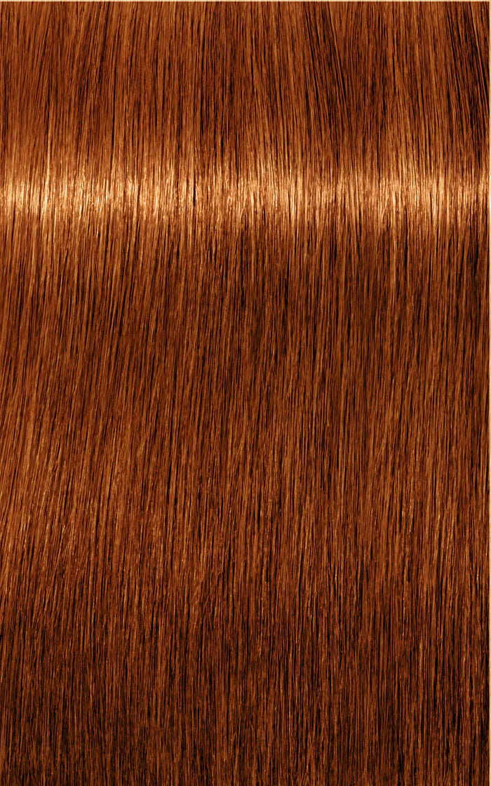 Igora Absolutes 7-70