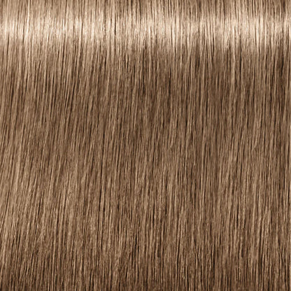 Igora Absolutes 8-01