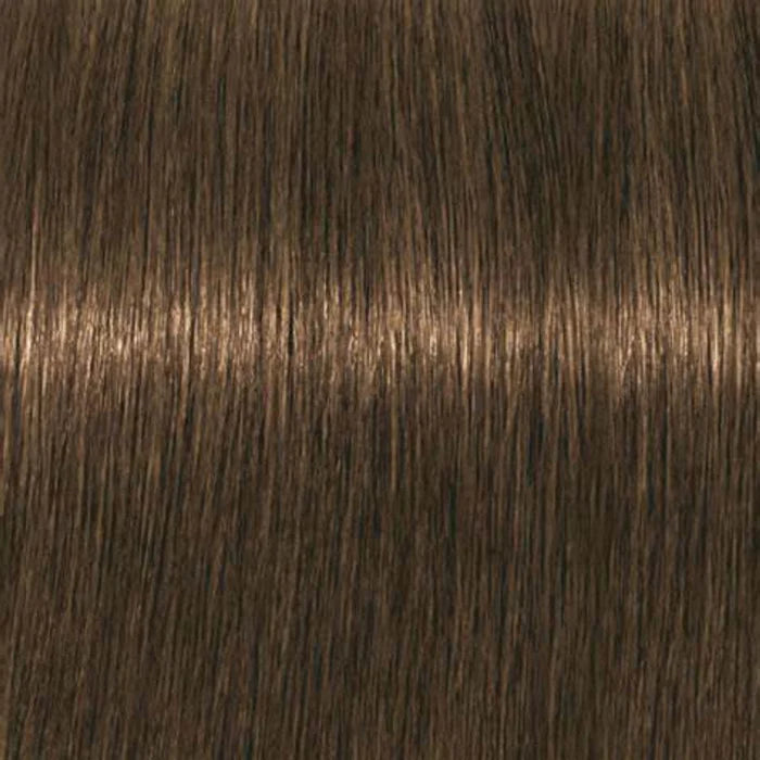 Igora Absolutes 8-140