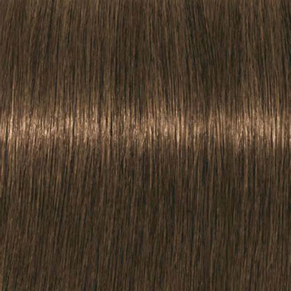 Igora Absolutes 8-140