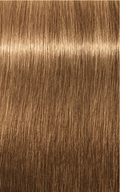 Igora Absolutes 8-50