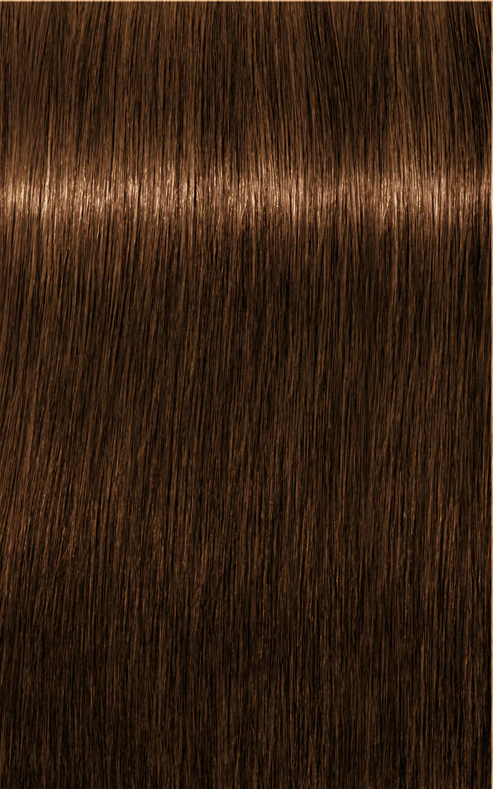 Igora Absolutes 8-60