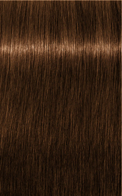 Igora Absolutes 8-60