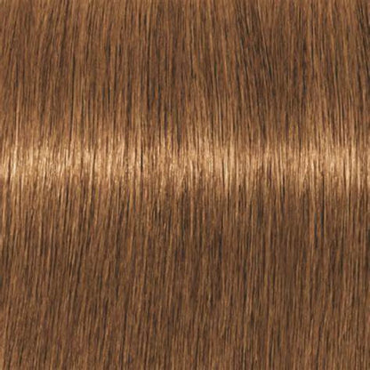 Igora Absolutes 9-470