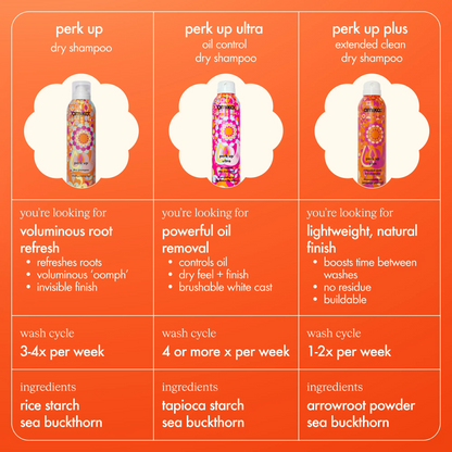 Amika Perk Up Dry Shampoo Matrix