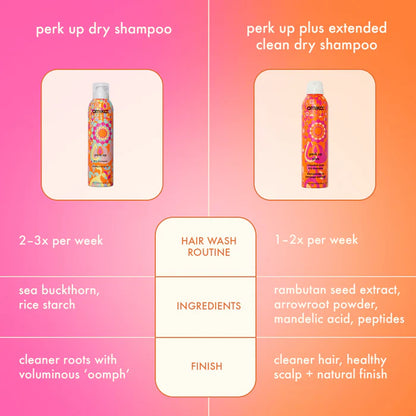 Amika Perk Up Power Up Dry Shampoo Duo 5.5oz & 1.8oz