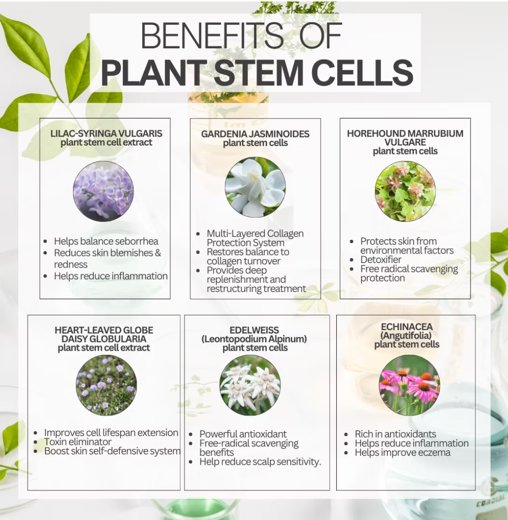 Hair Phix Chart detailing the benefits of plant stem cells with images and text.
