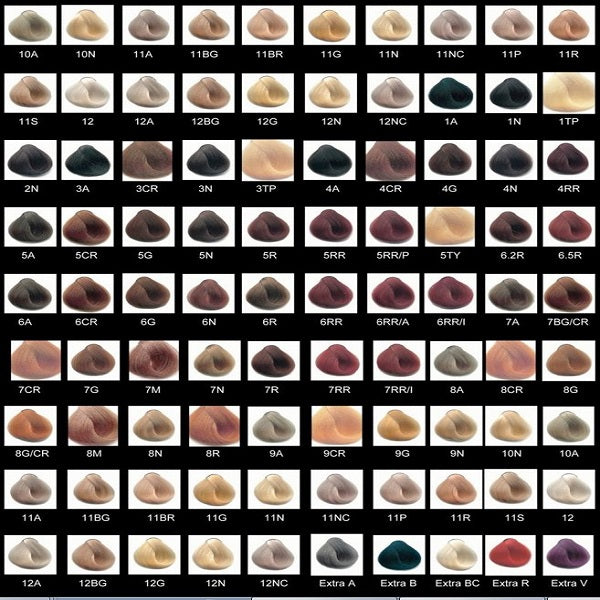 Color chart for hair dye with various shades labeled.