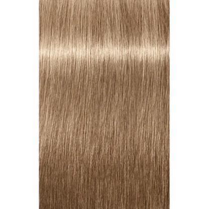 Igora Absolutes 9-140