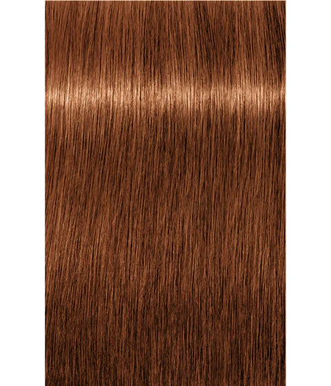 Igora Absolutes 7-71