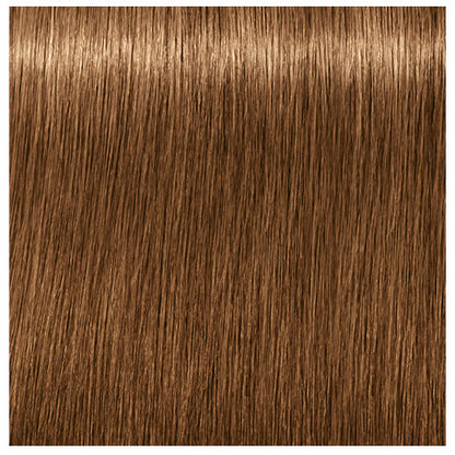 Igora Absolutes 7-450