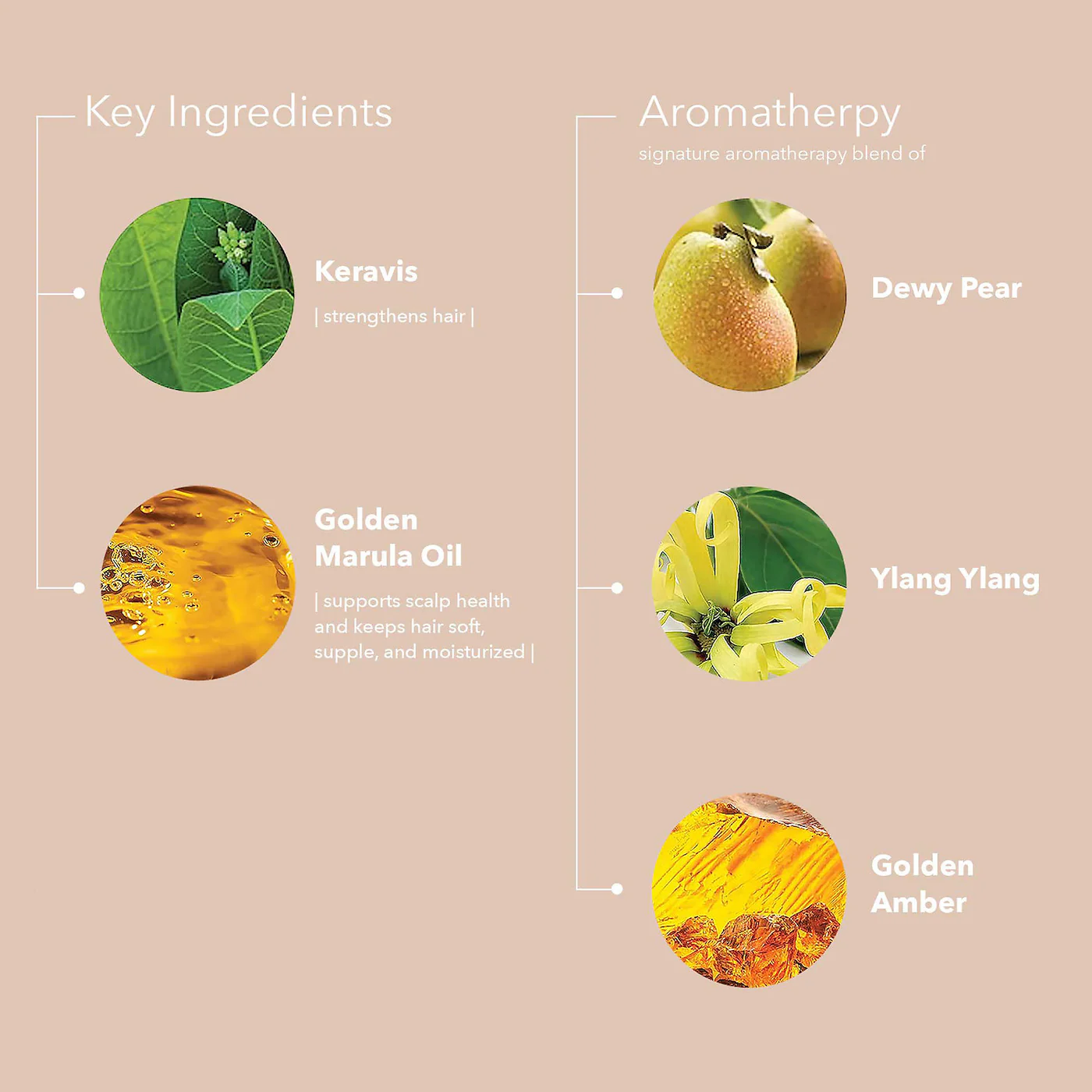 Pureology Nanoworks Gold Conditioner Ingredients