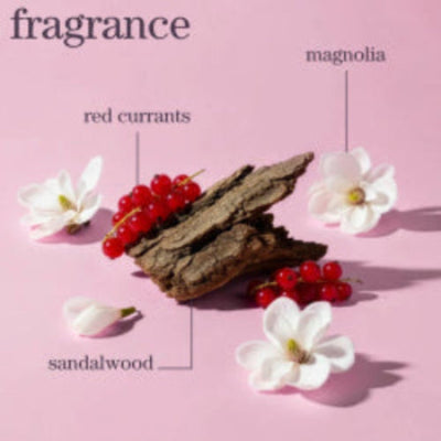 Fragrance composition with red currants, sandalwood, and magnolia flowers on a pink background.