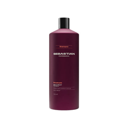 Sebastian haircare shampoo bottle in a deep plum purple color with a black cap, shown on a plain white background.