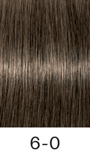 Load image into Gallery viewer, Schwarzkopf Igora Royal 6-0 - Dark Blonde
