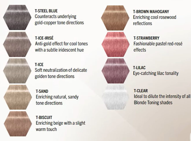 Color swatches of BlondMe Pastel Toners with names and descriptions on a white background
