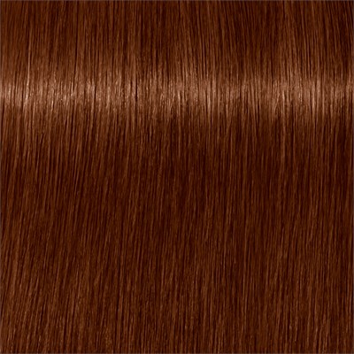 Igora Absolutes 7-470