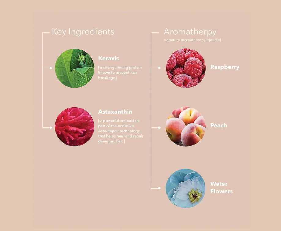 Pureology Strength Cure Superfood Treatment Key Ingredients