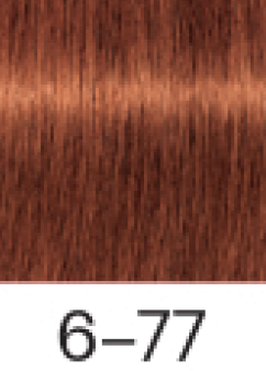 Schwarzkopf Igora Royal - Copper / Copper Extra (6-77) 60g / 2.1oz