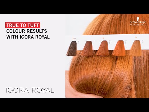 True to tuft colour results with IGORA ROYAL